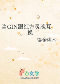 [ͬ] GIN췽껥